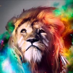 Meet your Posher, Darren